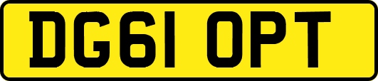 DG61OPT
