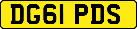 DG61PDS