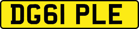 DG61PLE
