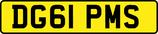DG61PMS