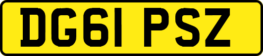 DG61PSZ