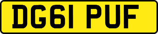 DG61PUF