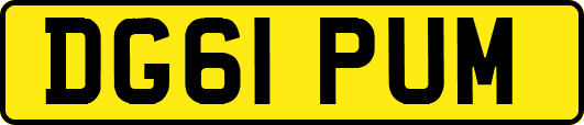 DG61PUM