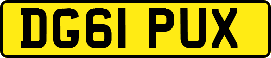 DG61PUX