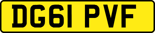 DG61PVF
