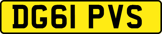 DG61PVS