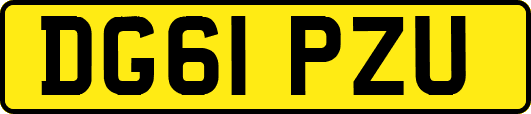DG61PZU