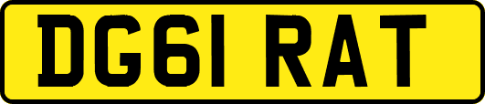 DG61RAT