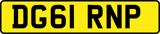 DG61RNP