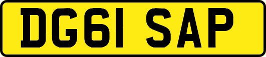 DG61SAP