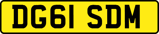 DG61SDM
