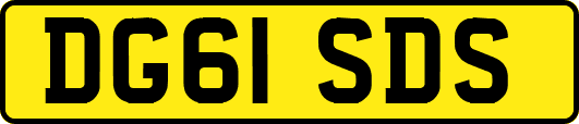 DG61SDS