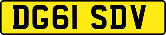 DG61SDV