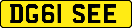 DG61SEE