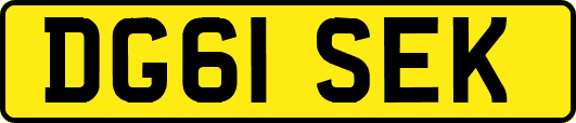 DG61SEK