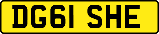 DG61SHE