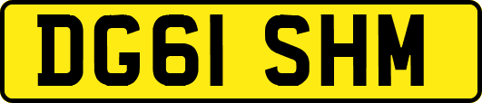 DG61SHM