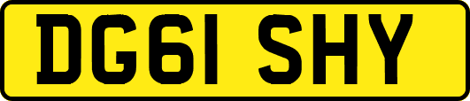 DG61SHY