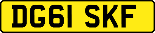 DG61SKF