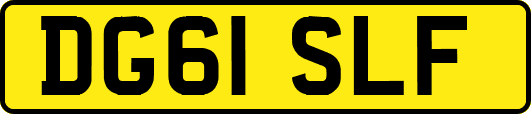 DG61SLF