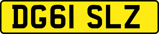 DG61SLZ