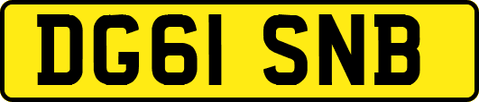 DG61SNB