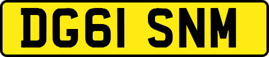 DG61SNM