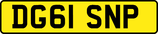 DG61SNP