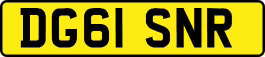 DG61SNR