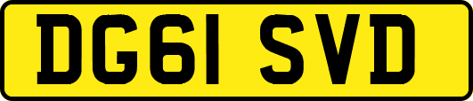 DG61SVD