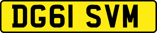 DG61SVM