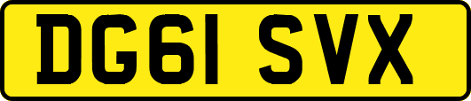 DG61SVX