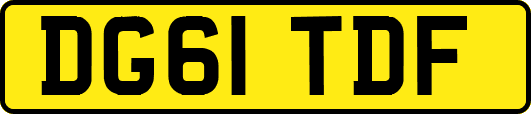 DG61TDF