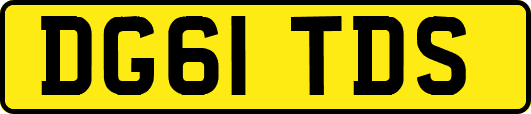 DG61TDS