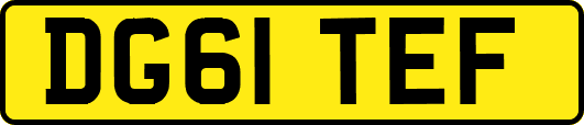 DG61TEF