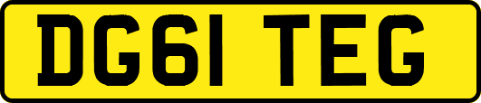 DG61TEG