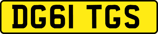DG61TGS
