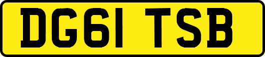 DG61TSB