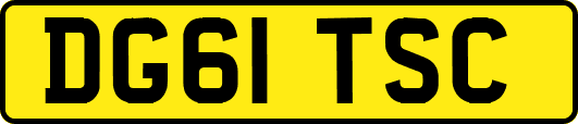 DG61TSC