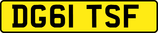 DG61TSF