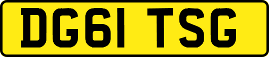 DG61TSG