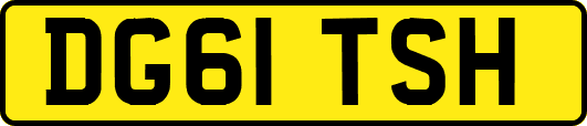 DG61TSH