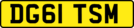 DG61TSM