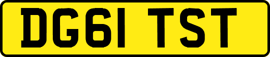 DG61TST
