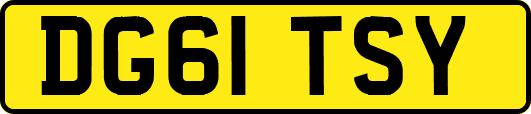 DG61TSY