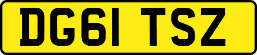 DG61TSZ