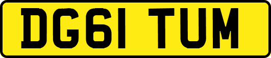 DG61TUM