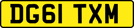 DG61TXM