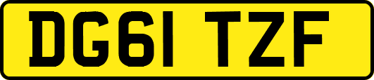 DG61TZF