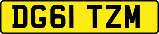 DG61TZM